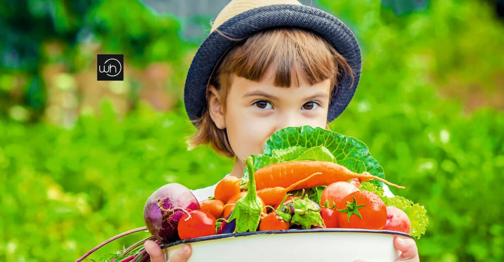 How Nutrition Shapes Your Child’s Mind and Body